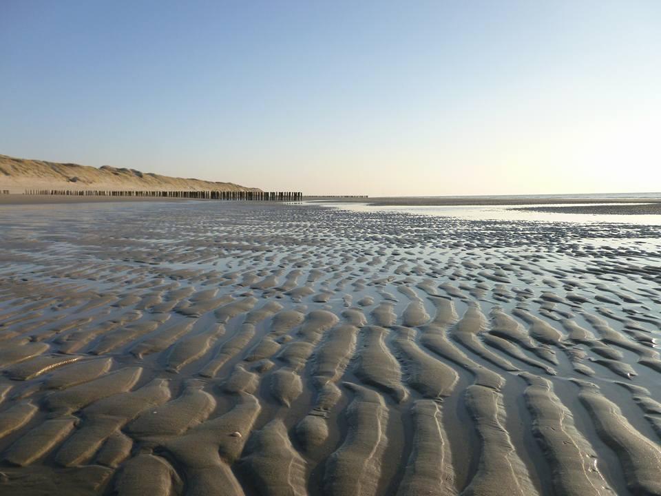 Ferienwohnung La Casa Aan Zee Ellemeet Exterior foto